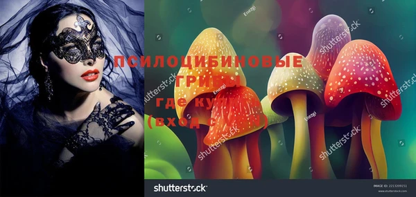 мяу мяу мука Балахна