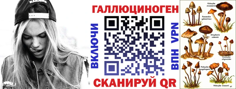 хочу наркоту  Городец  kraken онион  Псилоцибиновые грибы мицелий 