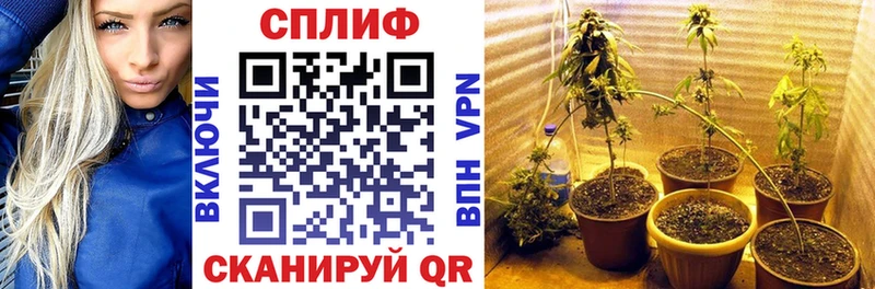 Конопля семена  продажа наркотиков  Городец 